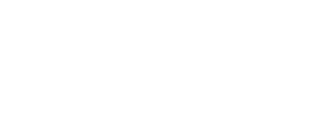 Logo Blanc Horizontal - DEPTH SA